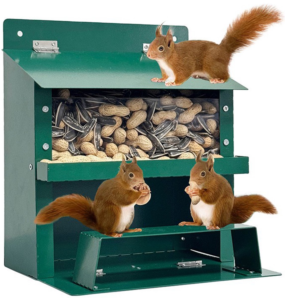 Voederbak Voor Eekhoorns Voor Buiten - Metaal - Met Klapdeksel - Grote, Transparante Bak - Ophangbaar - Voor Het Voeren Van Eekhoorns, Chipmunks En Andere Wilde Dieren