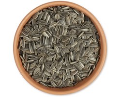 Gifts4Nature 5kg Gestreepte Zonnebloempitten voor Vogels - Zonnepitten voor Vogels - Vogelvoer voor Buitenvogels - Tuinvogelvoer voor Voedertafel of Voedersilo - Voordeelverpakking