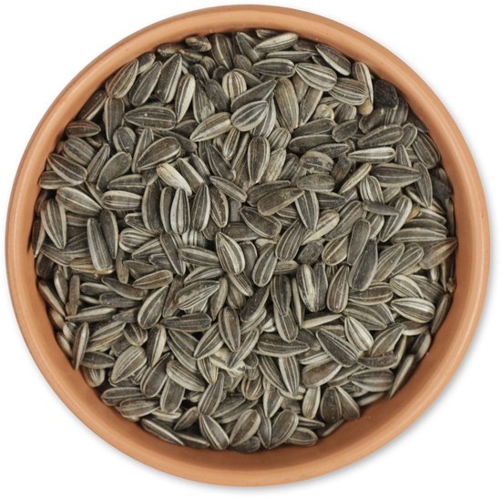 Gifts4Nature 5kg Gestreepte Zonnebloempitten voor Vogels - Zonnepitten voor Vogels - Vogelvoer voor Buitenvogels - Tuinvogelvoer voor Voedertafel of Voedersilo - Voordeelverpakking