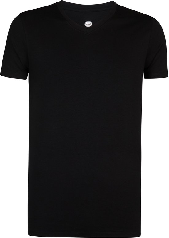 Zwart V-hals T-shirt voor heren, staand.