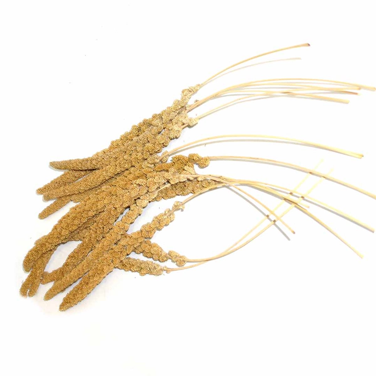 Trosgierst franse geel 1 kg