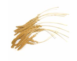 Trosgierst franse geel 1 kg