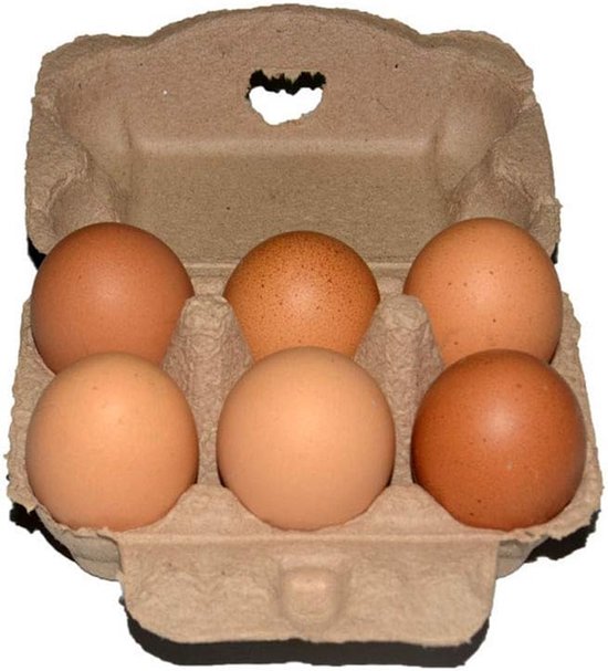 Eierdozen voor 12 eieren - Pack van 5/10/20PCS kartonnen biologisch afbreekbare gerecyclede pulpdozen, grote eieren lege opslag, boerderij, kruideniersbenodigdheden, plastic alternatief