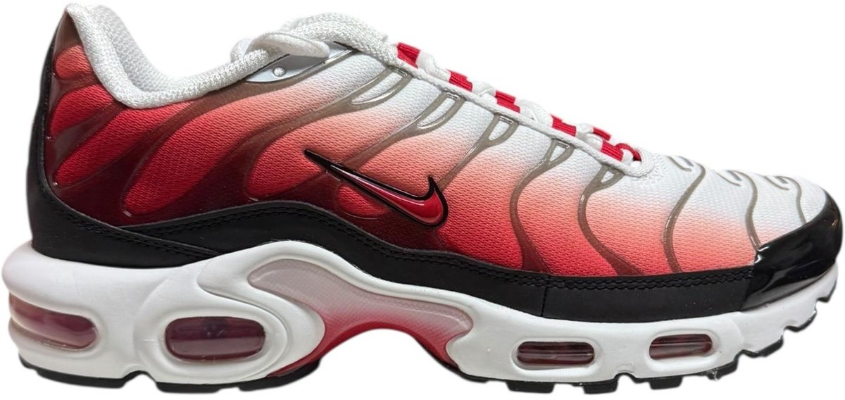 Nike Air Max Plus zwart