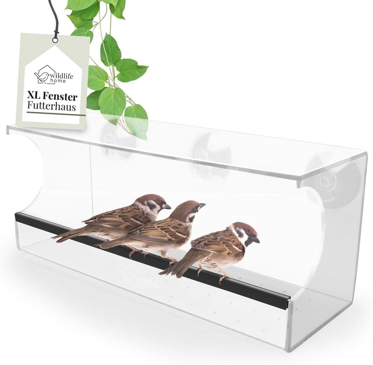 Transparant Vogelvoederhuis 30 cm voor Wilde Vogels - Raam Bevestiging