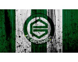 FC Groningen Metalen Wandbord, Maat:30x20 cm - Sport-Voetbal-F1-Racing-MotoGP-Werkplaats-Garage-Classic Cars-Man Cave-Wandbord Mancave-Kroeg decoratie-Tekstbord-Metalen wanddecoratie