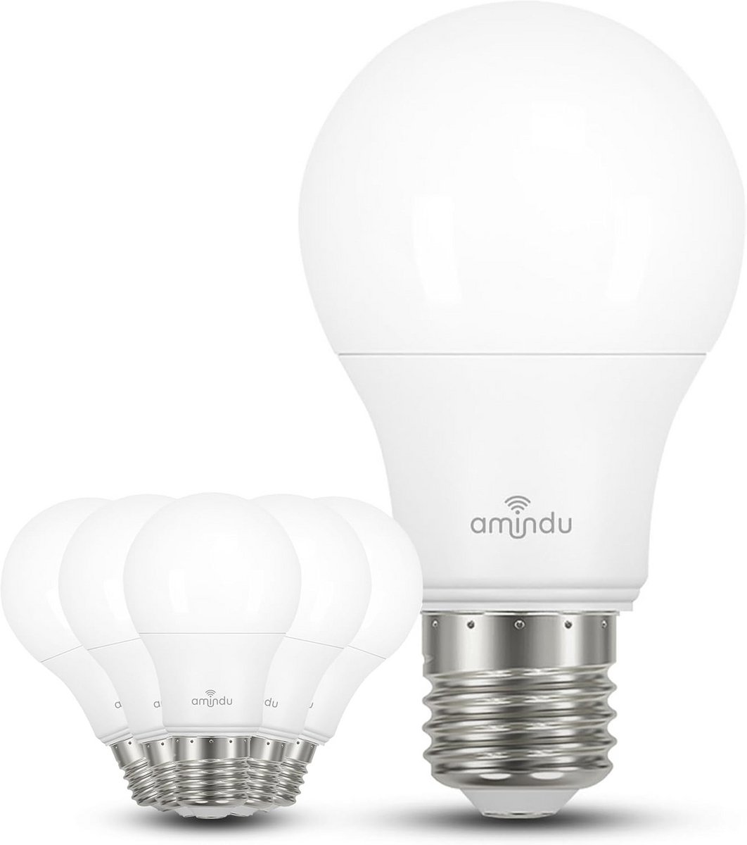E27 LED Lampen Warm Wit - 2700K (6-pack) - Energiezuinige 8,4W Vervangingen voor 60W Gloeilampen