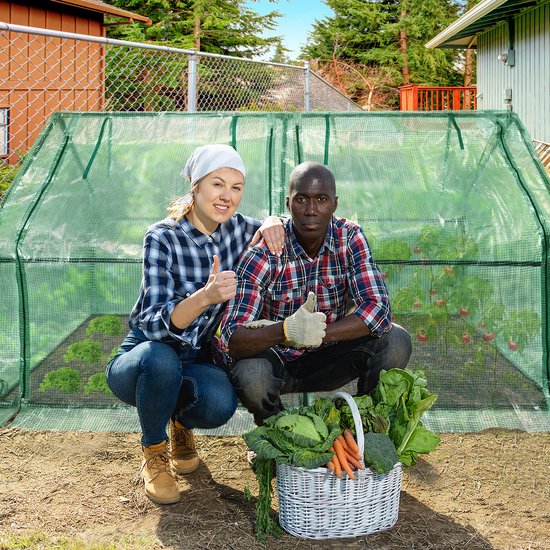 Man en vrouw, blij met oogst in groene kas, mand met groenten.