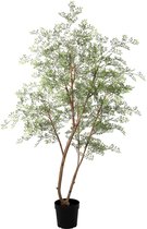Florafy Kunstplant Cassia | 180cm - Plantes artificielles d'intérieur - Sans entretien