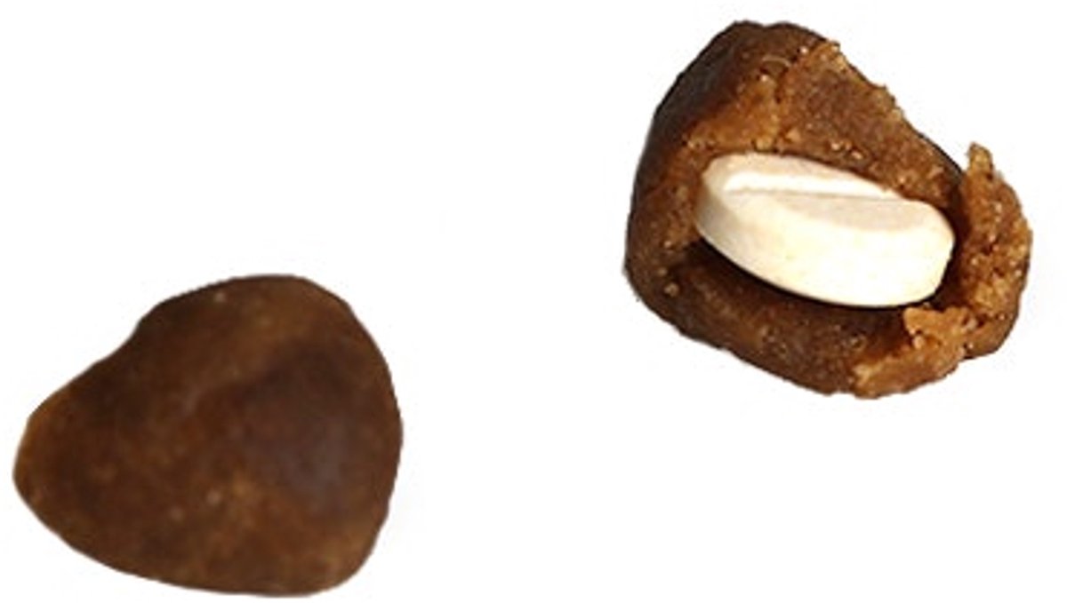 Easypill Hond - 1 x 20 gram