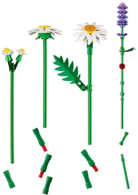 LEGO Botanicals Madeliefjes Bloemen - Bouwpakket voor Kinderen - 11508