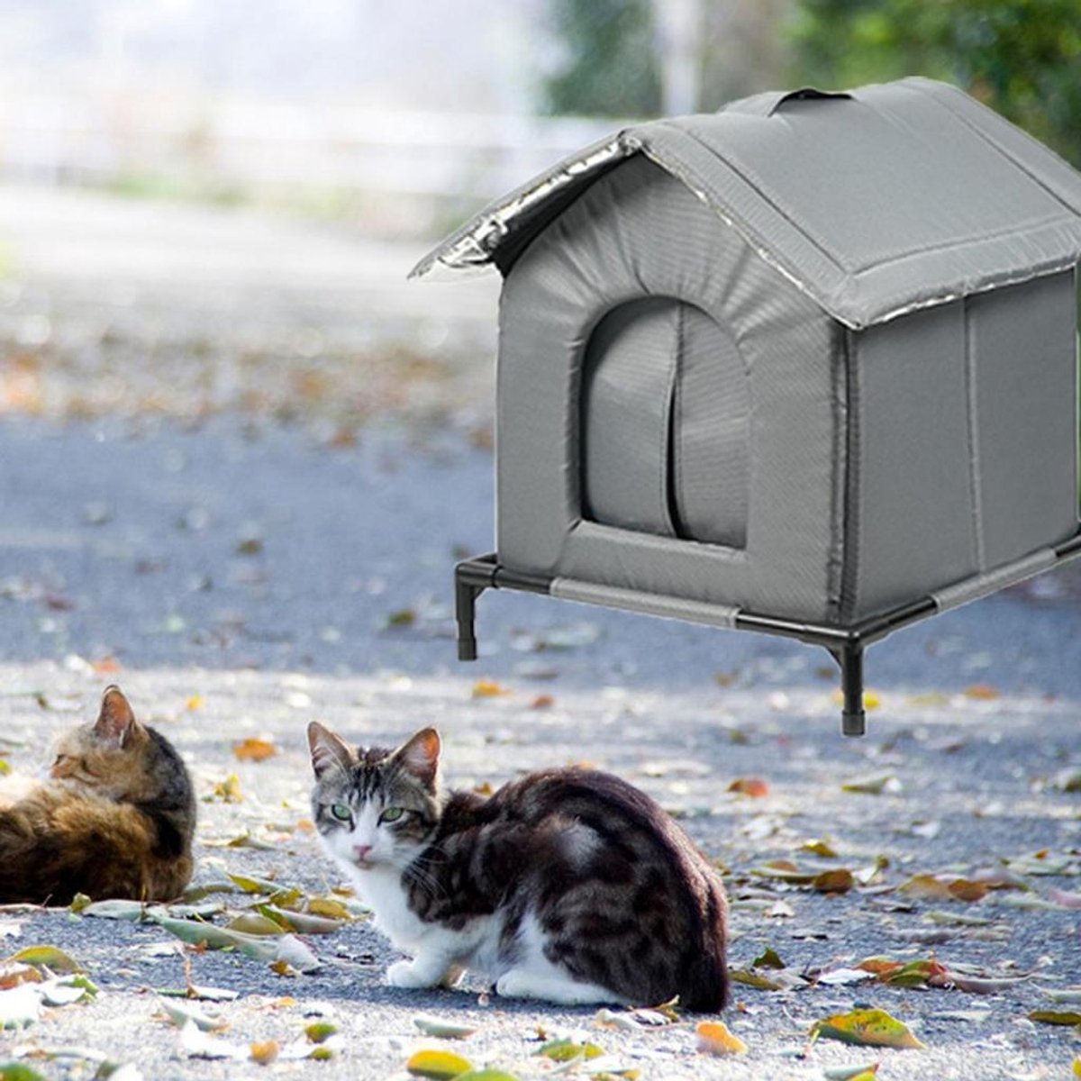 Kattenhuis Buiten - Weerbestendig Geïsoleerd Asiel Voor Balkon, Tuin & Terras