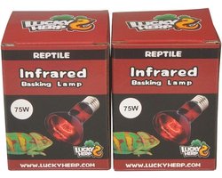 Infrarood Basking Lamp voor Reptielen - 2-Pack, 75-Watt E27 Warmte Lamp