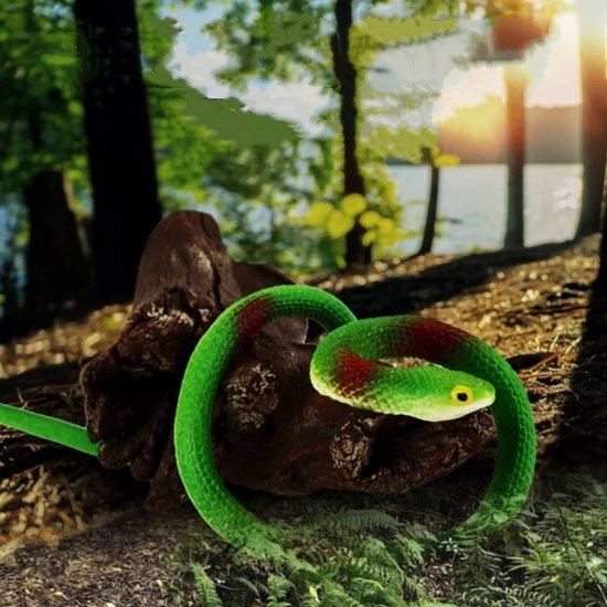 Rubber Snake Figuren - Elastische Rubber Slangen - Realistische Rubber Slangen voor het Schrikken van Vogels - Grappen - Halloween Feest - Verpakking van 2 — afbeelding 4