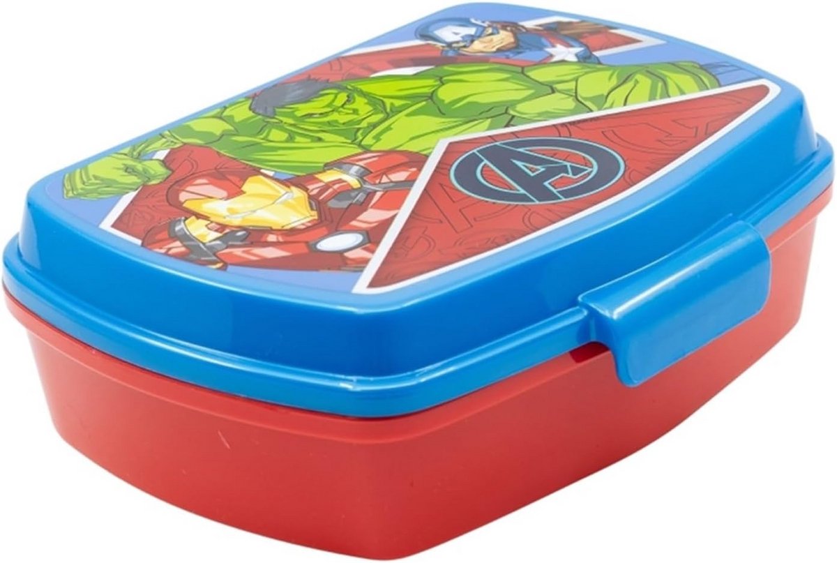 Rechthoekige herbruikbare sandwichbox BPA-vrij meerkleurig