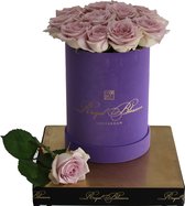 Purple velvet Flowerbox - VERSE roze rozen van Royal Blossom - Geschenk/Cadeau/Gift