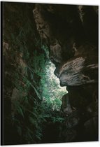 Dibond –Begroeide Rotsen in het Bos– 40x60cm Foto op Aluminium (Wanddecoratie van metaal)