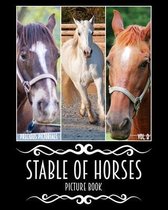 Precious Pictorials Stable Of Horses Picture Book