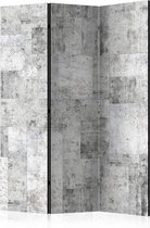 Kamerscherm - Scheidingswand - Vouwscherm - Concrete: Grey City [Room Dividers] 135x172 - Artgeist Vouwscherm