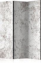 Kamerscherm - Scheidingswand - Vouwscherm - Urban Style: Concrete [Room Dividers] 135x172 - Artgeist Vouwscherm