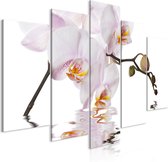 Schilderijen Op Canvas - Schilderij - Delightful Orchid (5 Parts) Wide 200x100 - Artgeist Schilderij