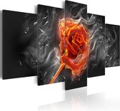Schilderijen Op Canvas - Schilderij - Fiery Rose 200x100 - Artgeist Schilderij