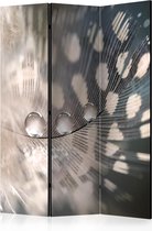 Kamerscherm - Scheidingswand - Vouwscherm - Elegant Feather [Room Dividers] 135x172 - Artgeist Vouwscherm