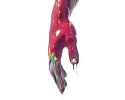 Raptus