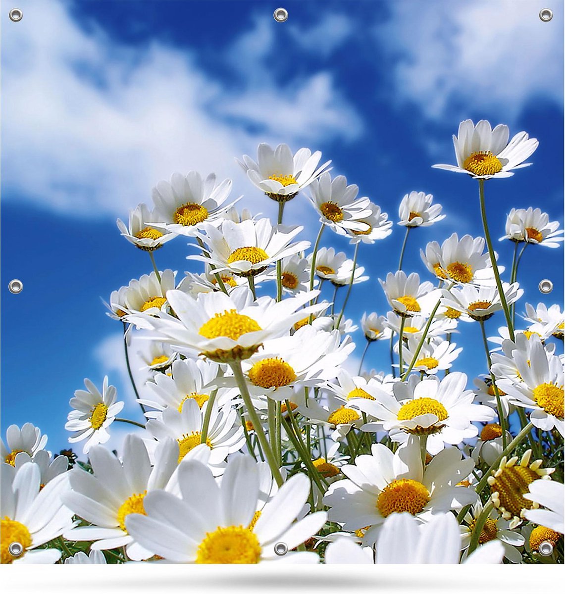 Tuinposter Tuindoek Bloemen 100x100cm - bevestigingsogen om de 30 cm - Schuttingposter - Haarscherp