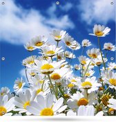 Affiche de jardin Tissu de jardin Fleurs 100x100cm - Yeux de fixation tous les 30 cm - Affiche de clôture - Razor sharp