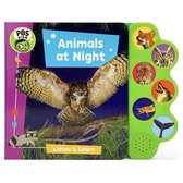 Animals at Night