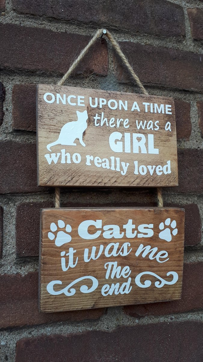 Mini ladder hout met tekst tekstladder liefde voor de kat / poes leuk cadeau of om zelf op te hangen.