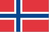 Vlag Noorwegen 30x45cm