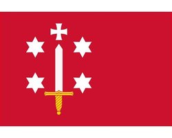 Vlag Haarlem 30x45cm