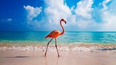 Diamond Painting Flamingo volledig pakket- Roze - Strand - Flamingo- Full Cover 30x40 cm -Vierkante Steentjes dus Volledige Bedekking- Hobby- Dieren- Ontspanning- Volledig Pakket-