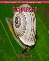 Schnecke