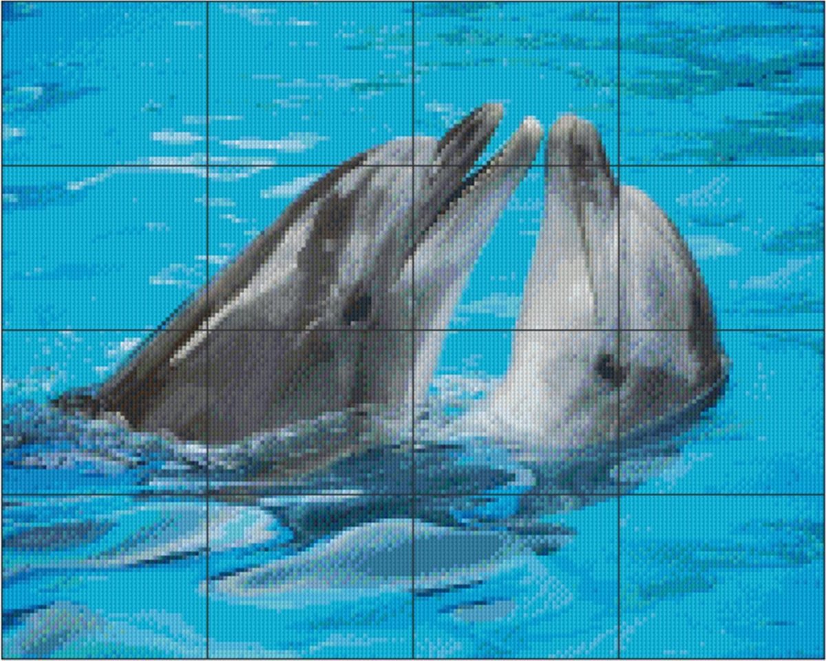 PIXELHOBBY DOLFIJNEN - DST12019826 - 16PLATEN - 285MATJES