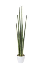 J-Line Kunstplant Aloevera in Pot Plastic Groen / Wit 18x18x120