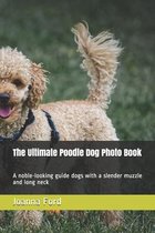 The Ultimate Poodle Dog Photo Book