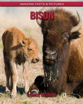 Bison