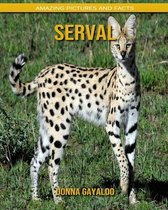 Serval