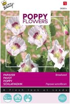 Buzzy® Poppies of the world - Papaver Blauwmaanzaad