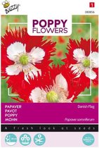 Buzzy® Poppies of the world - Papaver Deense Vlag