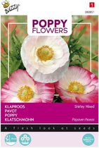 Poppies Of The World Graine de fleur de pavot - Mixte