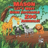 Mason Let's Meet Some Adorable Zoo Animals!