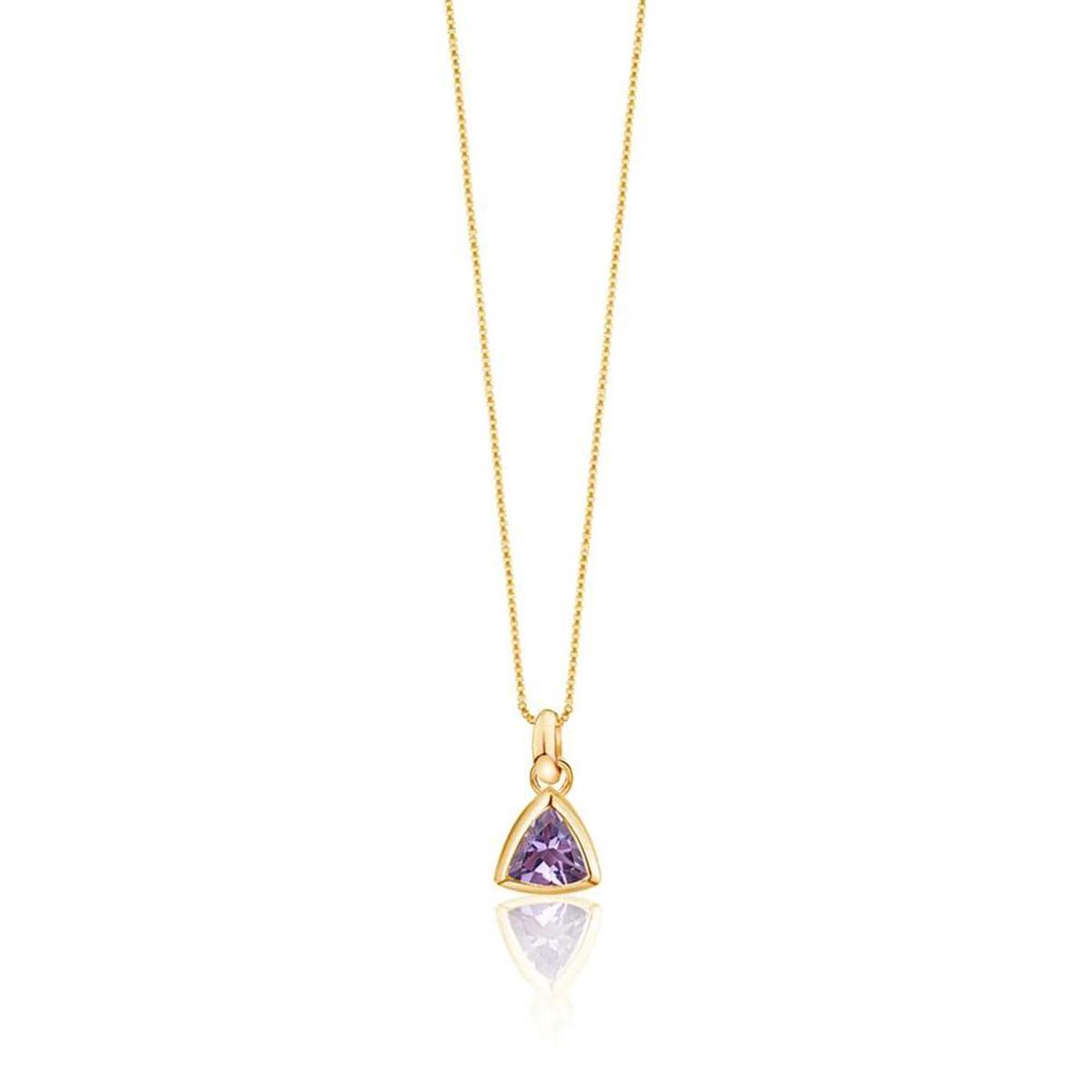 Petit Comité - Ketting Dames Geboortesteen Amethist Februari (Goud) - Cadeau Dames
