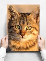 Wandbord: Portretafbeelding van een kat - 30 x 42 cm