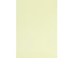Happy Moments Vellum-papier A4 100 Gram Lichtgroen 10 Stuks