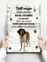 Wandbord hond: Sint Bernard (langhaar) - 30 x 42 cm
