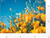 Tuinposter - Gele Bloemen - 140 x 90 cm | PosterGuru